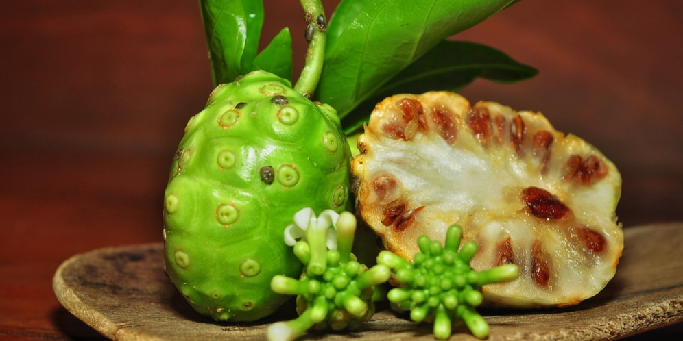 Khasiat Yang Terdapat Dari Buah Mengkudu Bagi Kecantikan dan Kesehatan